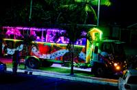 Party Bus Hire Melbourne image 2